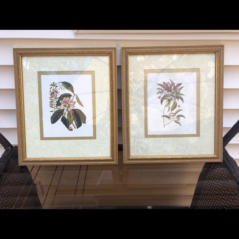 Pretty botanical prints